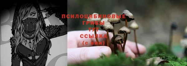 ALPHA PVP Арсеньев