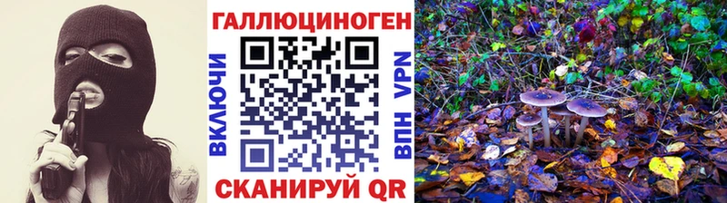 Галлюциногенные грибы Psilocybine cubensis  omg   Урень 